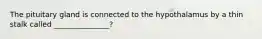The pituitary gland is connected to the hypothalamus by a thin stalk called _______________?