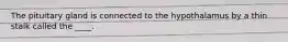 The pituitary gland is connected to the hypothalamus by a thin stalk called the ____.
