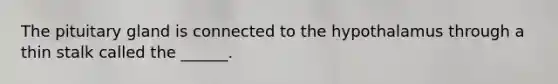 The pituitary gland is connected to the hypothalamus through a thin stalk called the ______.