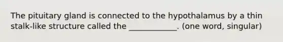 The pituitary gland is connected to the hypothalamus by a thin stalk-like structure called the ____________. (one word, singular)