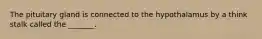 The pituitary gland is connected to the hypothalamus by a think stalk called the _______.