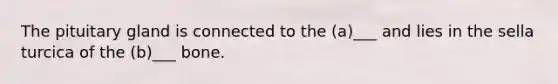 The pituitary gland is connected to the (a)___ and lies in the sella turcica of the (b)___ bone.