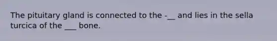 The pituitary gland is connected to the -__ and lies in the sella turcica of the ___ bone.