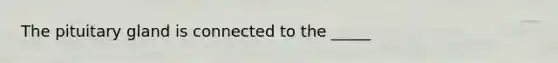 The pituitary gland is connected to the _____