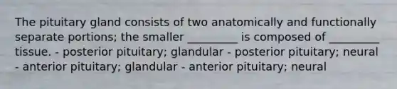 The pituitary gland consists of two anatomically and functionally separate portions; the smaller _________ is composed of _________ tissue. - posterior pituitary; glandular - posterior pituitary; neural - anterior pituitary; glandular - anterior pituitary; neural