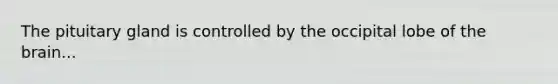The pituitary gland is controlled by the occipital lobe of the brain...
