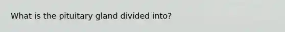 What is the pituitary gland divided into?