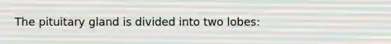 The pituitary gland is divided into two lobes: