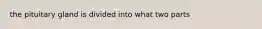 the pituitary gland is divided into what two parts