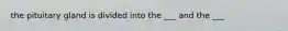 the pituitary gland is divided into the ___ and the ___