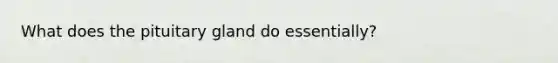 What does the pituitary gland do essentially?