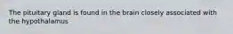 The pituitary gland is found in the brain closely associated with the hypothalamus