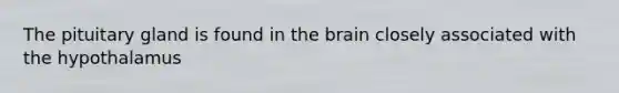 The pituitary gland is found in the brain closely associated with the hypothalamus