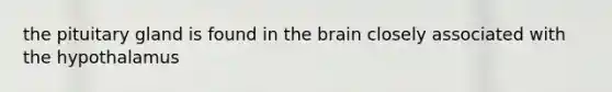 the pituitary gland is found in <a href='https://www.questionai.com/knowledge/kLMtJeqKp6-the-brain' class='anchor-knowledge'>the brain</a> closely associated with the hypothalamus