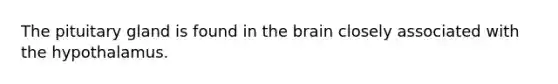 The pituitary gland is found in the brain closely associated with the hypothalamus.