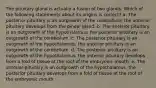 The pituitary gland is actually a fusion of two glands. Which of the following statements about its origins is correct? a. The posterior pituitary is an outgrowth of the cerebellum; the anterior pituitary develops from the pineal gland. b. The anterior pituitary is an outgrowth of the hypothalamus, the posterior pituitary is an outgrowth of the cerebellum. c. The posterior pituitary is an outgrowth of the hypothalamus, the anterior pituitary is an outgrowth of the cerebellum. d. The posterior pituitary is an outgrowth of the hypothalamus, the anterior pituitary develops from a fold of tissue at the roof of the embryonic mouth. e. The anterior pituitary is an outgrowth of the hypothalamus, the posterior pituitary develops from a fold of tissue at the roof of the embryonic mouth.