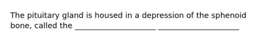 The pituitary gland is housed in a depression of the sphenoid bone, called the _____________________ _____________________
