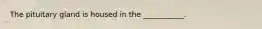 The pituitary gland is housed in the ___________.