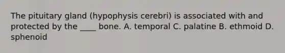 The pituitary gland (hypophysis cerebri) is associated with and protected by the ____ bone. A. temporal C. palatine B. ethmoid D. sphenoid