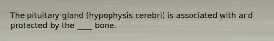 The pituitary gland (hypophysis cerebri) is associated with and protected by the ____ bone.