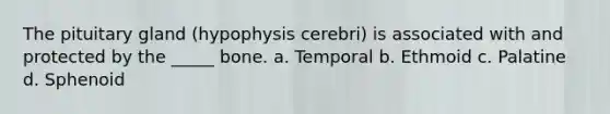 The pituitary gland (hypophysis cerebri) is associated with and protected by the _____ bone. a. Temporal b. Ethmoid c. Palatine d. Sphenoid