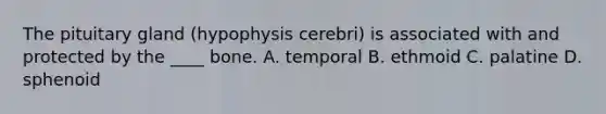 The pituitary gland (hypophysis cerebri) is associated with and protected by the ____ bone. A. temporal B. ethmoid C. palatine D. sphenoid