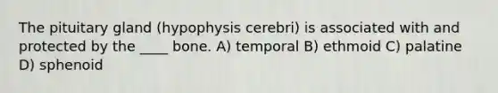 The pituitary gland (hypophysis cerebri) is associated with and protected by the ____ bone. A) temporal B) ethmoid C) palatine D) sphenoid