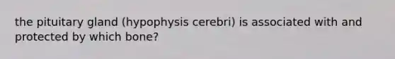 the pituitary gland (hypophysis cerebri) is associated with and protected by which bone?