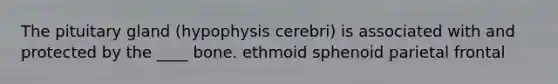 The pituitary gland (hypophysis cerebri) is associated with and protected by the ____ bone. ethmoid sphenoid parietal frontal