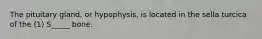 The pituitary gland, or hypophysis, is located in the sella turcica of the (1) S_____ bone.