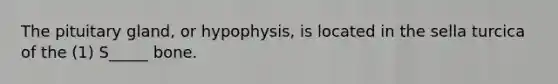 The pituitary gland, or hypophysis, is located in the sella turcica of the (1) S_____ bone.