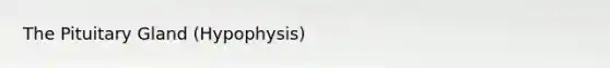 The Pituitary Gland (Hypophysis)