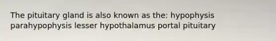 The pituitary gland is also known as the: hypophysis parahypophysis lesser hypothalamus portal pituitary