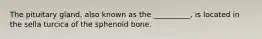 The pituitary gland, also known as the __________, is located in the sella turcica of the sphenoid bone.