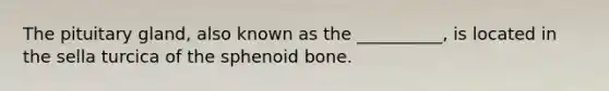 The pituitary gland, also known as the __________, is located in the sella turcica of the sphenoid bone.