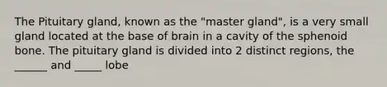 The Pituitary gland, known as the "master gland", is a very small gland located at the base of brain in a cavity of the sphenoid bone. The pituitary gland is divided into 2 distinct regions, the ______ and _____ lobe