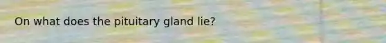 On what does the pituitary gland lie?