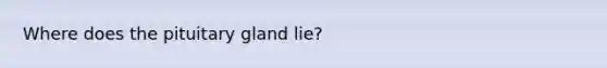 Where does the pituitary gland lie?