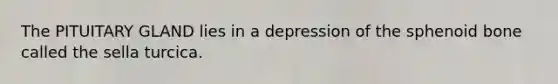 The PITUITARY GLAND lies in a depression of the sphenoid bone called the sella turcica.