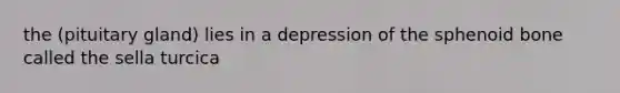 the (pituitary gland) lies in a depression of the sphenoid bone called the sella turcica