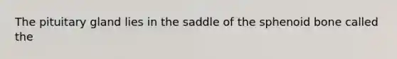 The pituitary gland lies in the saddle of the sphenoid bone called the