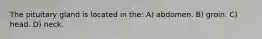 The pituitary gland is located in the: A) abdomen. B) groin. C) head. D) neck.