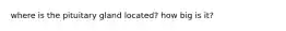 where is the pituitary gland located? how big is it?