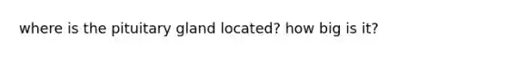 where is the pituitary gland located? how big is it?