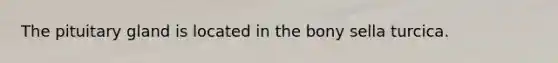 The pituitary gland is located in the bony sella turcica.