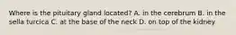 Where is the pituitary gland located? A. in the cerebrum B. in the sella turcica C. at the base of the neck D. on top of the kidney