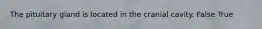 The pituitary gland is located in the cranial cavity. False True