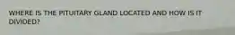 WHERE IS THE PITUITARY GLAND LOCATED AND HOW IS IT DIVIDED?