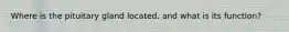 Where is the pituitary gland located, and what is its function?