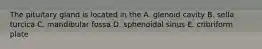 The pituitary gland is located in the A. glenoid cavity B. sella turcica C. mandibular fossa D. sphenoidal sinus E. cribriform plate